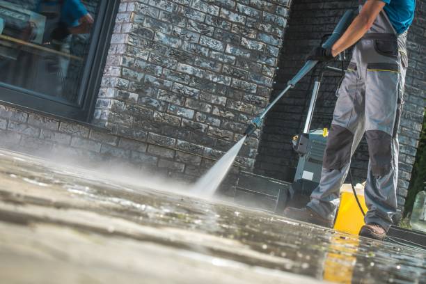 Best Soft Washing  in West Frankfort, IL